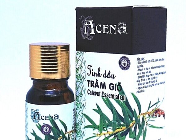 Tinh dầu Tràm gió ACENA
