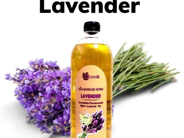 Dầu Massage Body Lavender Oải Hương ACENA