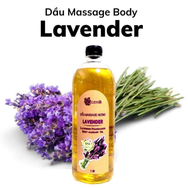 Dầu Massage Body Lavender Oải Hương ACENA