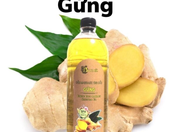 Dầu Massage Body Tinh Dầu Gừng ACENA