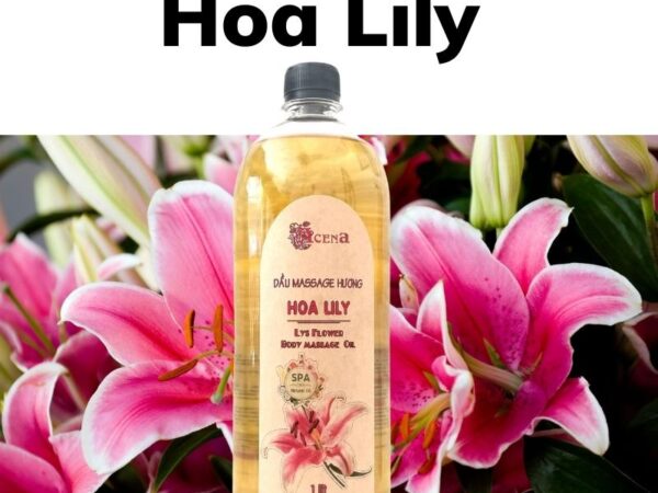 Dầu Massage Body Hương Hoa Lily
