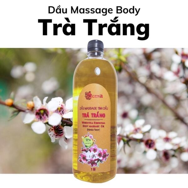 Dầu Massage Body Tinh Dầu Trà Trắng Manuka ACENA