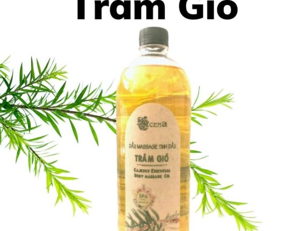 Dầu Massage Body Tràm Gió ACENA