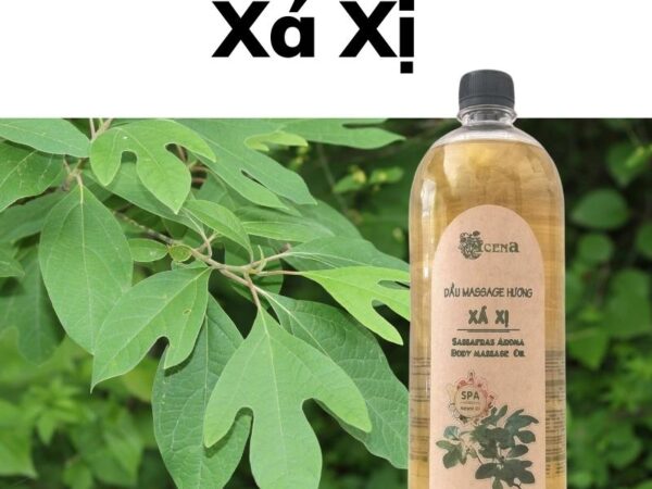 Dầu Massage Body Hương Xá Xị ACENA