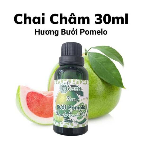 Chai Châm Hương Bưởi Pomelo ACENA 30ml